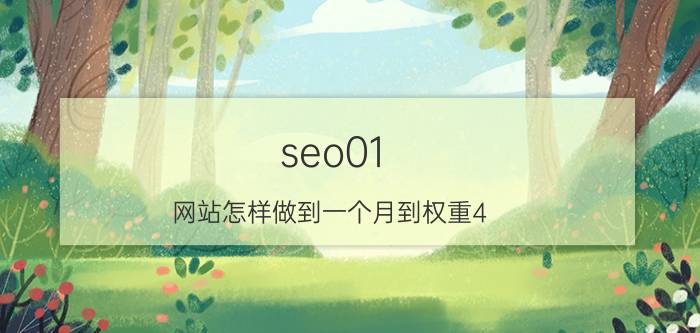 seo01 网站怎样做到一个月到权重4，新站快速提升权？